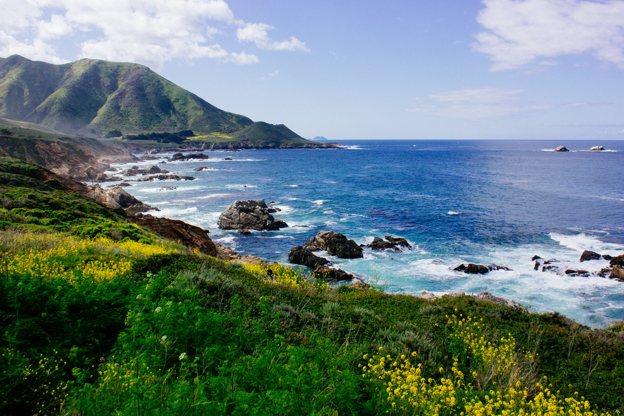 pacific coast highway, california