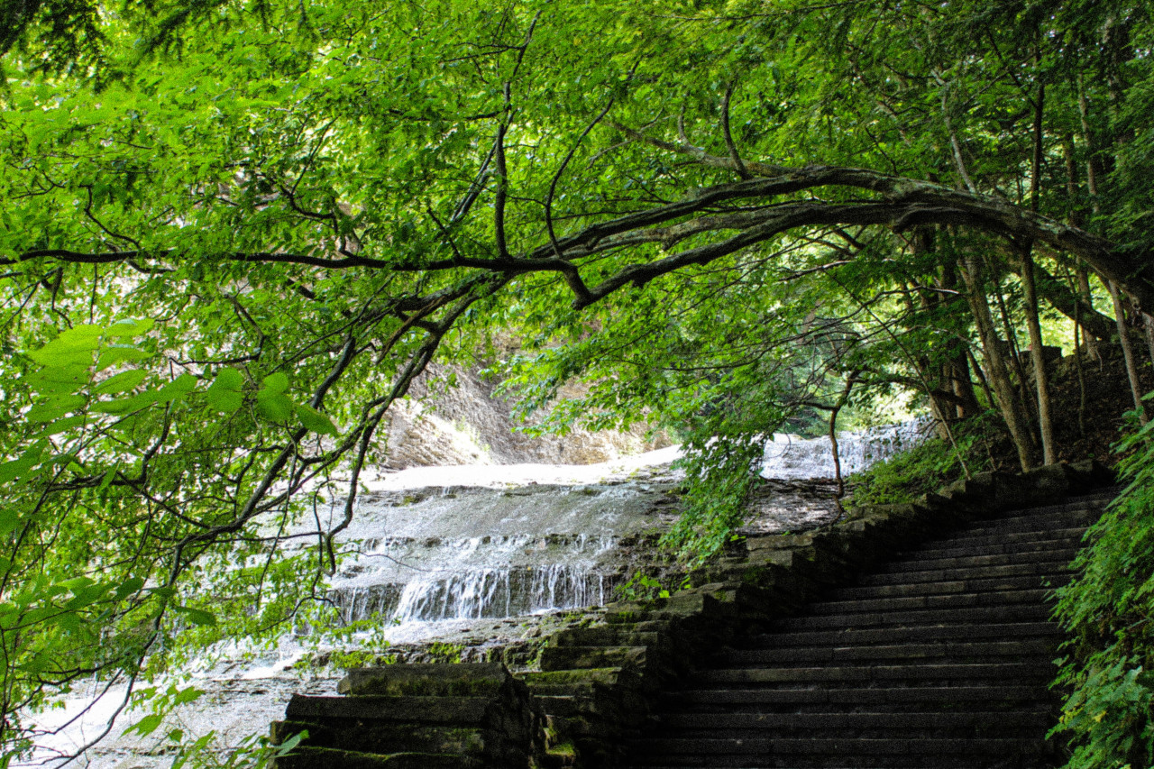 buttermilk falls, ithaca ny