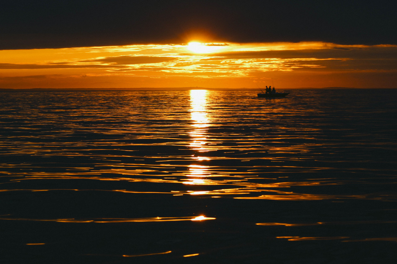 cape cod