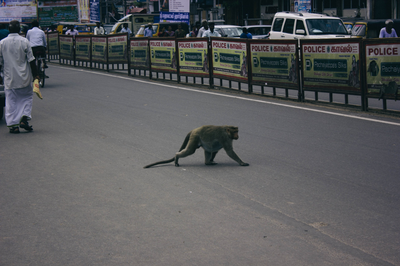 kanchipuram, india
