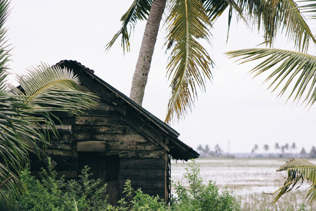 alappuzha, kerala