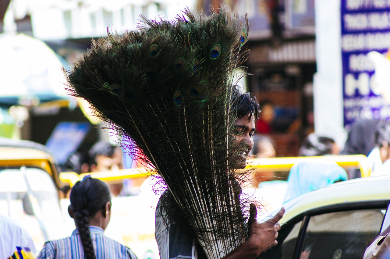 t. nagar, chennai, tamilnadu